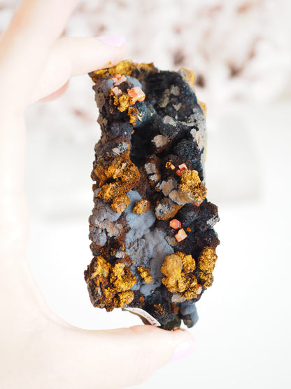 Vanadinit mit Psilomelane . Goethite- aus Mibladen Bergbau Bezirk . Midelt. Marokko