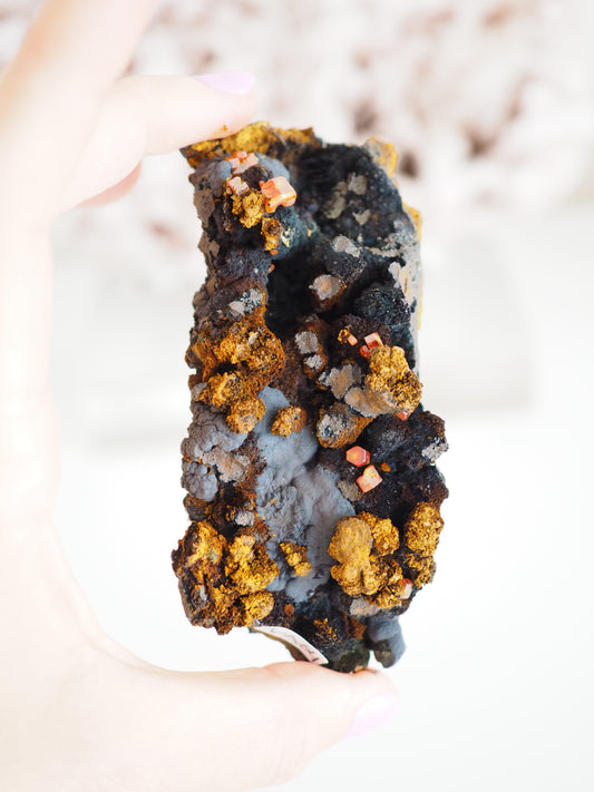 Vanadinit mit Psilomelane . Goethite- aus Mibladen Bergbau Bezirk . Midelt. Marokko