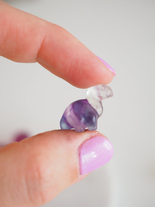 Regenbogen Fluorit Dino Langhals Gravur . Mini Carving ca. 1.5 cm Carving - Aus China
