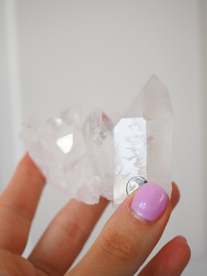 Bergkristall Cluster mit Regenbögen ca 7.5cm [21] - aus Minas Gerais Brasilien HIGH QUALITY