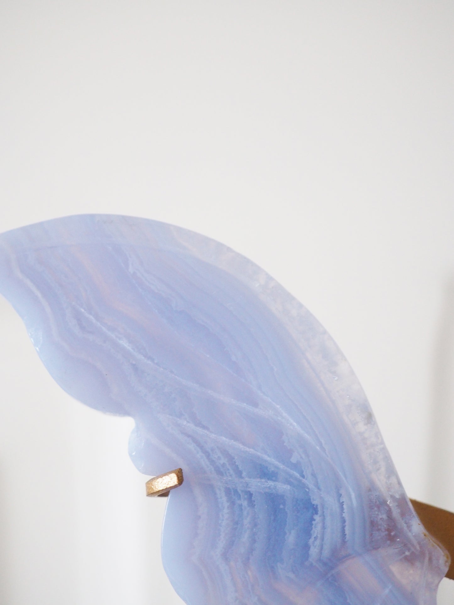Blauer Spitzen Achat (Blue Lace Agate) Flügel auf Halter ca. 13-15cm - aus Namibia