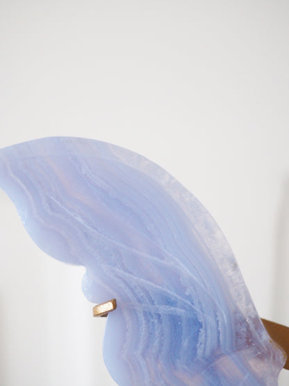 Blauer Spitzen Achat (Blue Lace Agate) Flügel auf Halter ca. 13-15cm - aus Namibia
