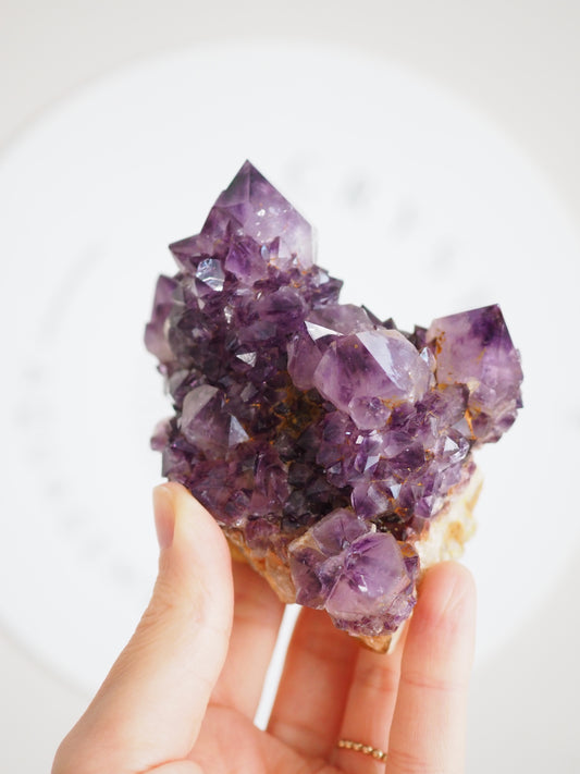 Kaktus Quarz Deep Violett . Spirit Quarz - aus Boekenhouthoek. Mpumalanga. Südafrika HIGH QUALITY