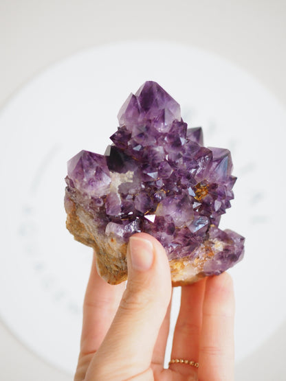 Kaktus Quarz Deep Violett . Spirit Quarz - aus Boekenhouthoek. Mpumalanga. Südafrika HIGH QUALITY