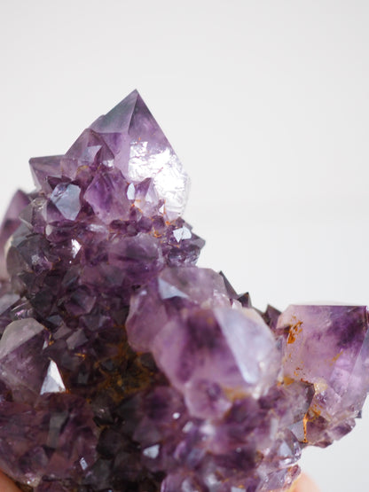 Kaktus Quarz Deep Violett . Spirit Quarz - aus Boekenhouthoek. Mpumalanga. Südafrika HIGH QUALITY