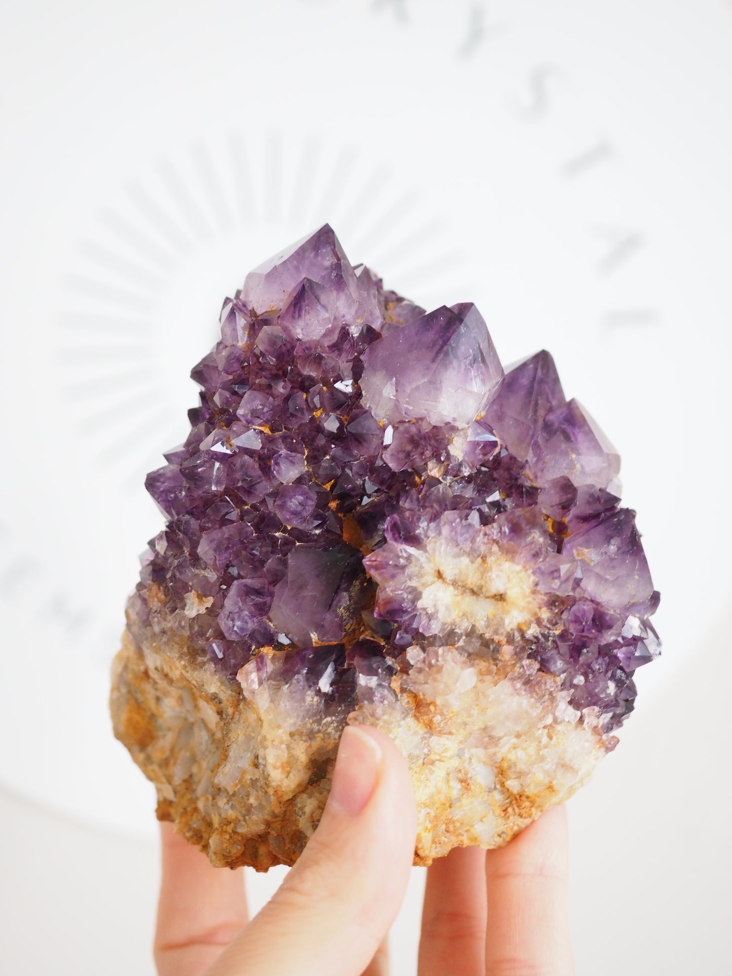 Kaktus Quarz Deep Violett . Spirit Quarz - aus Boekenhouthoek. Mpumalanga. Südafrika HIGH QUALITY