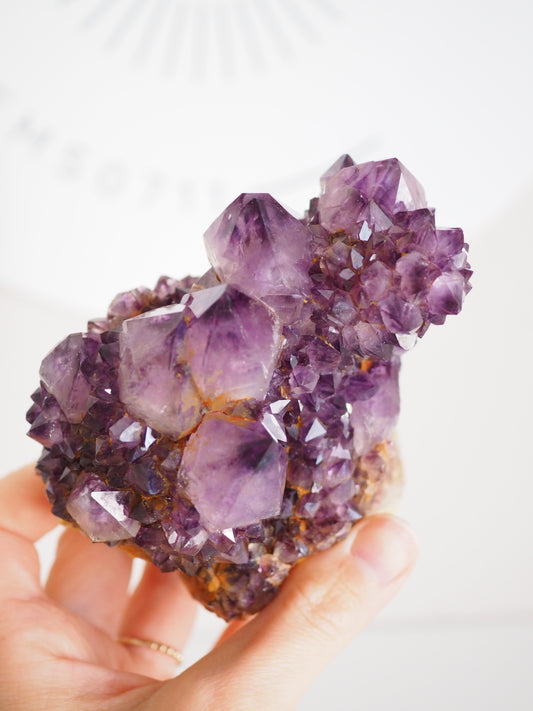 Kaktus Quarz Deep Violett . Spirit Quarz - aus Boekenhouthoek. Mpumalanga. Südafrika HIGH QUALITY