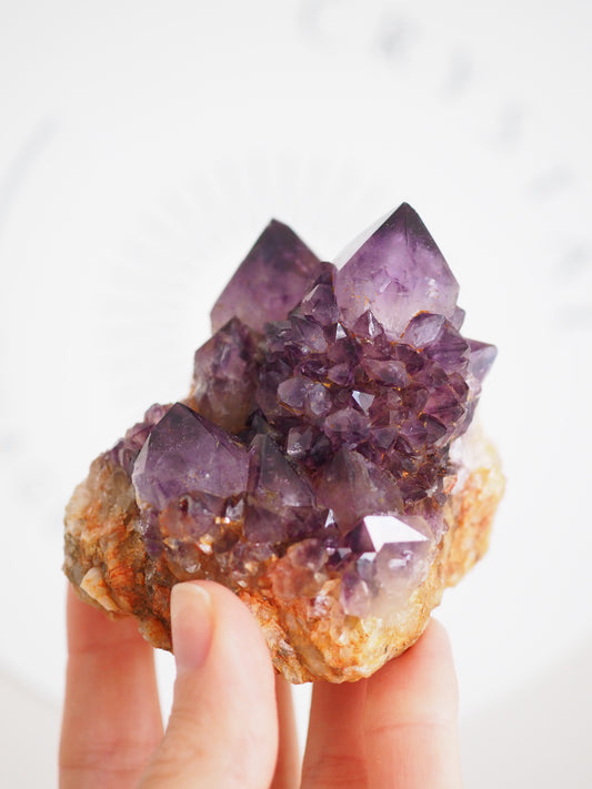 Kaktus Quarz Deep Violett . Spirit Quarz - aus Boekenhouthoek. Mpumalanga. Südafrika HIGH QUALITY