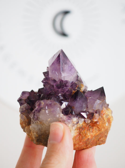 Kaktus Quarz Deep Violett . Spirit Quarz - aus Boekenhouthoek. Mpumalanga. Südafrika HIGH QUALITY