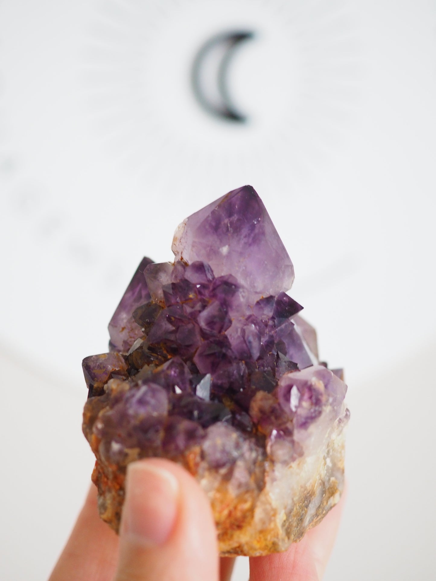 Kaktus Quarz Deep Violett . Spirit Quarz - aus Boekenhouthoek. Mpumalanga. Südafrika HIGH QUALITY