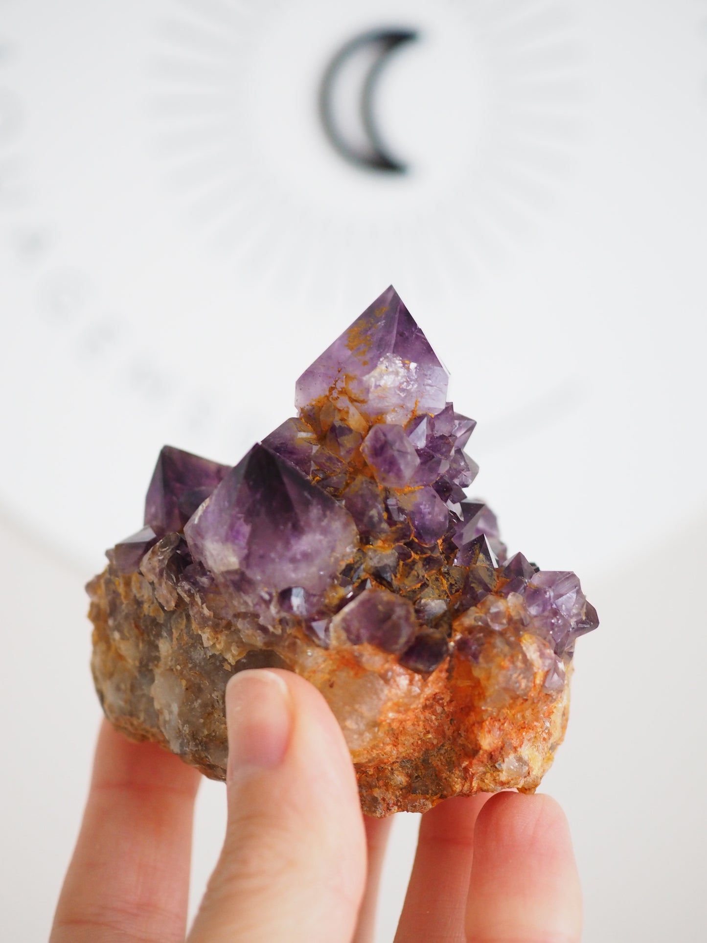 Kaktus Quarz Deep Violett . Spirit Quarz - aus Boekenhouthoek. Mpumalanga. Südafrika HIGH QUALITY