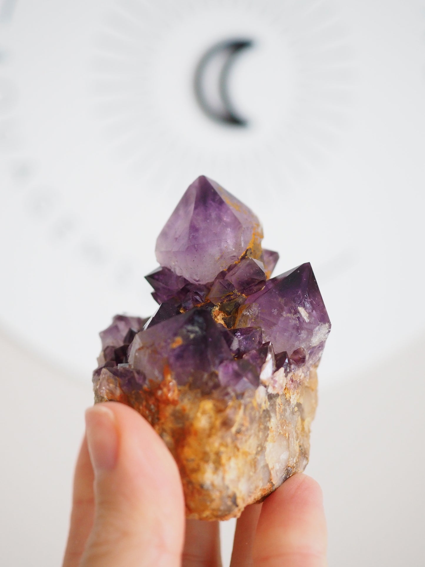 Kaktus Quarz Deep Violett . Spirit Quarz - aus Boekenhouthoek. Mpumalanga. Südafrika HIGH QUALITY