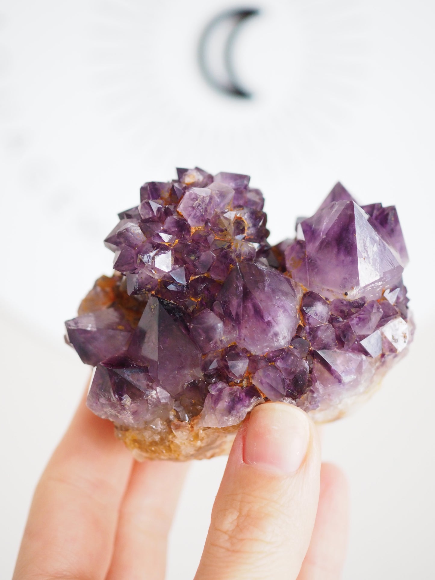 Kaktus Quarz Deep Violett . Spirit Quarz - aus Boekenhouthoek. Mpumalanga. Südafrika HIGH QUALITY