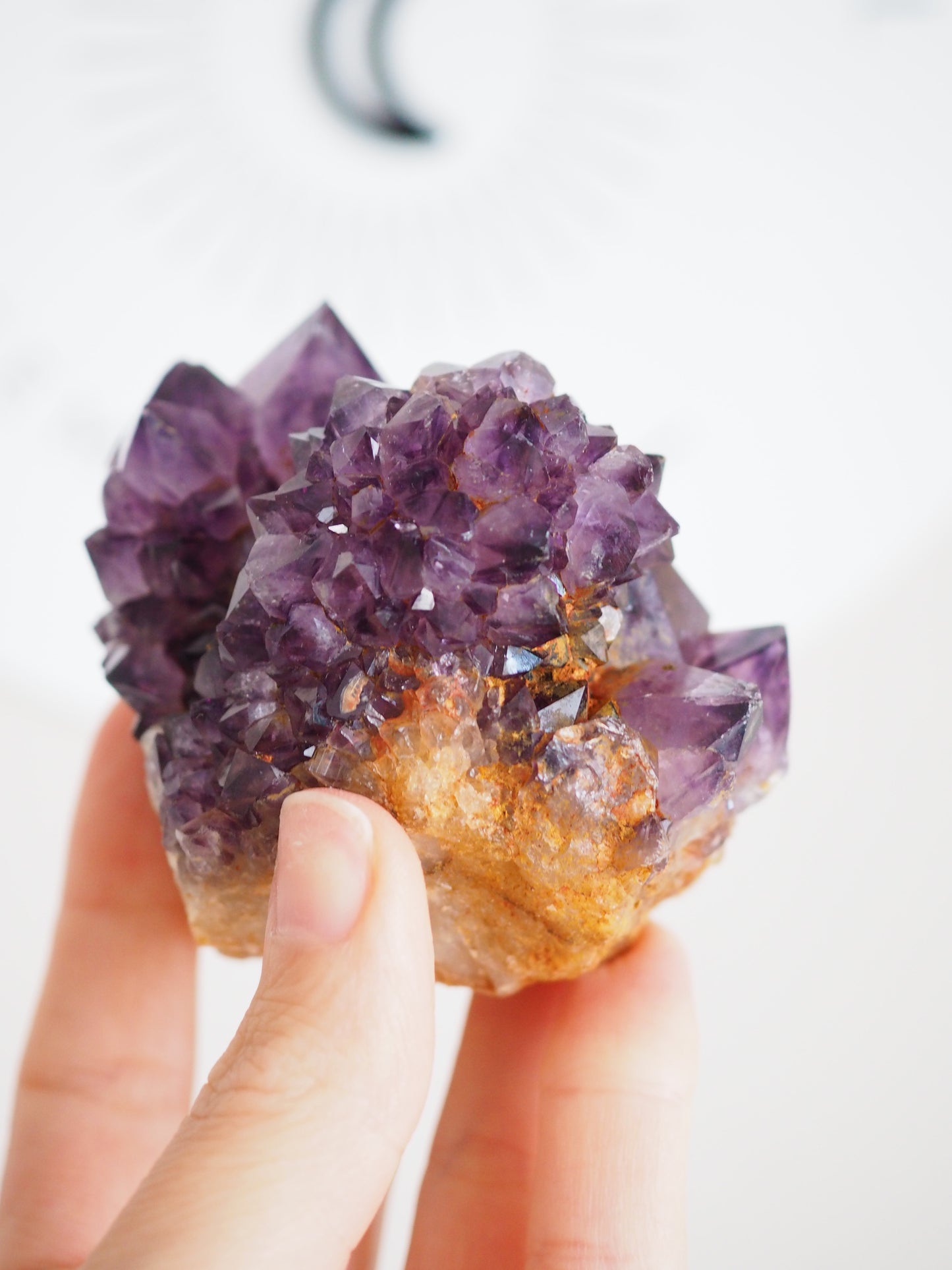 Kaktus Quarz Deep Violett . Spirit Quarz - aus Boekenhouthoek. Mpumalanga. Südafrika HIGH QUALITY