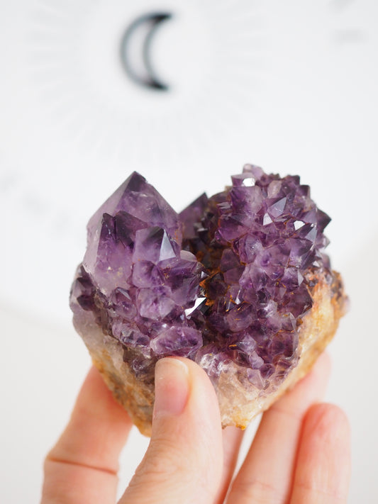 Kaktus Quarz Deep Violett . Spirit Quarz - aus Boekenhouthoek. Mpumalanga. Südafrika HIGH QUALITY