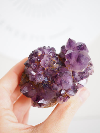 Kaktus Quarz Deep Violett . Spirit Quarz - aus Boekenhouthoek. Mpumalanga. Südafrika HIGH QUALITY