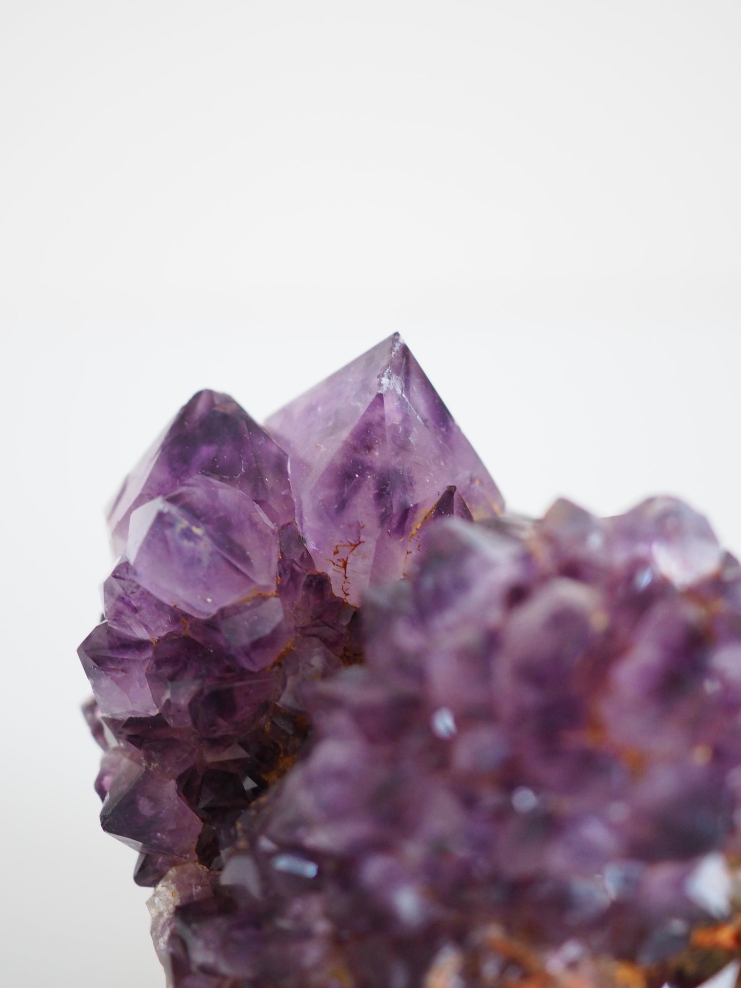Kaktus Quarz Deep Violett . Spirit Quarz - aus Boekenhouthoek. Mpumalanga. Südafrika HIGH QUALITY