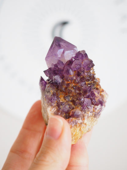 Kaktus Quarz Deep Violett . Spirit Quarz - aus Boekenhouthoek. Mpumalanga. Südafrika HIGH QUALITY