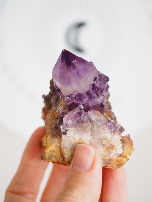 Kaktus Quarz Deep Violett . Spirit Quarz - aus Boekenhouthoek. Mpumalanga. Südafrika HIGH QUALITY