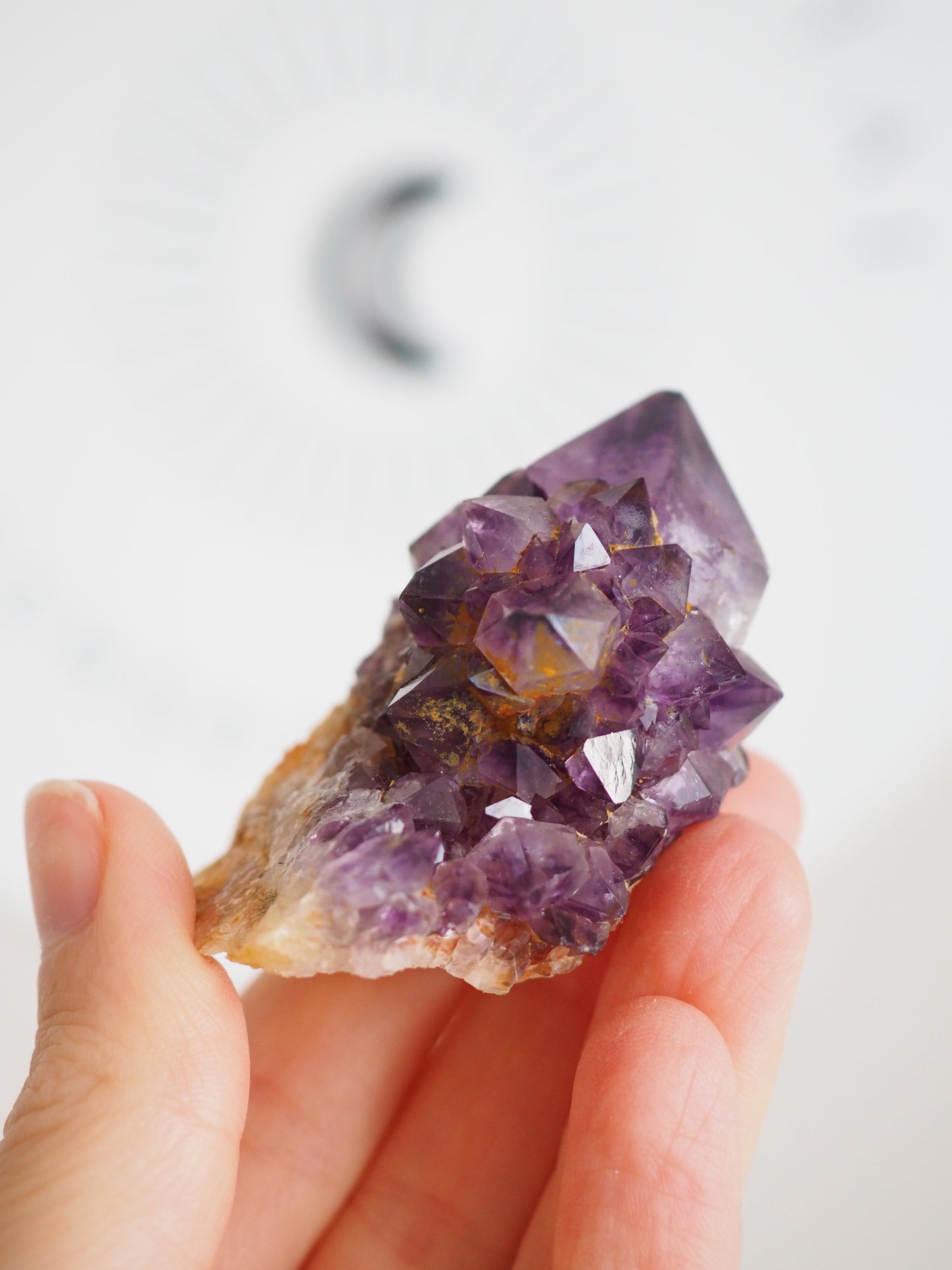 Kaktus Quarz Deep Violett . Spirit Quarz - aus Boekenhouthoek. Mpumalanga. Südafrika HIGH QUALITY