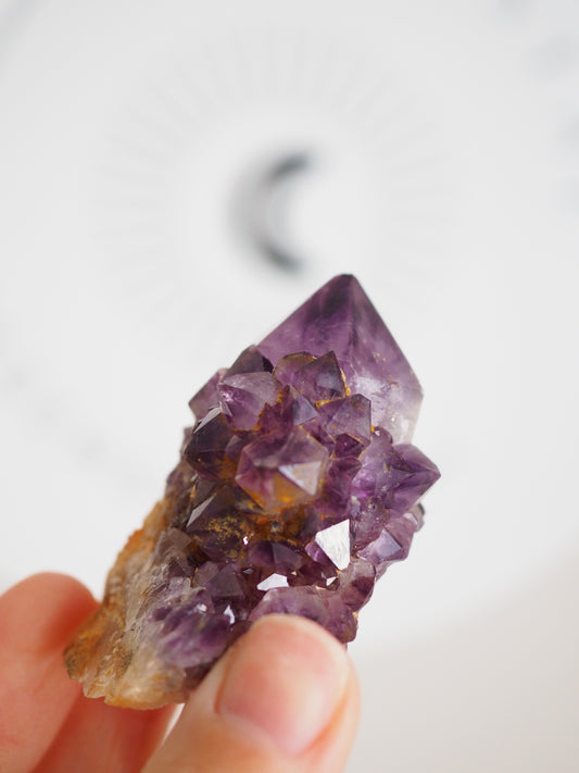Kaktus Quarz Deep Violett . Spirit Quarz - aus Boekenhouthoek. Mpumalanga. Südafrika HIGH QUALITY