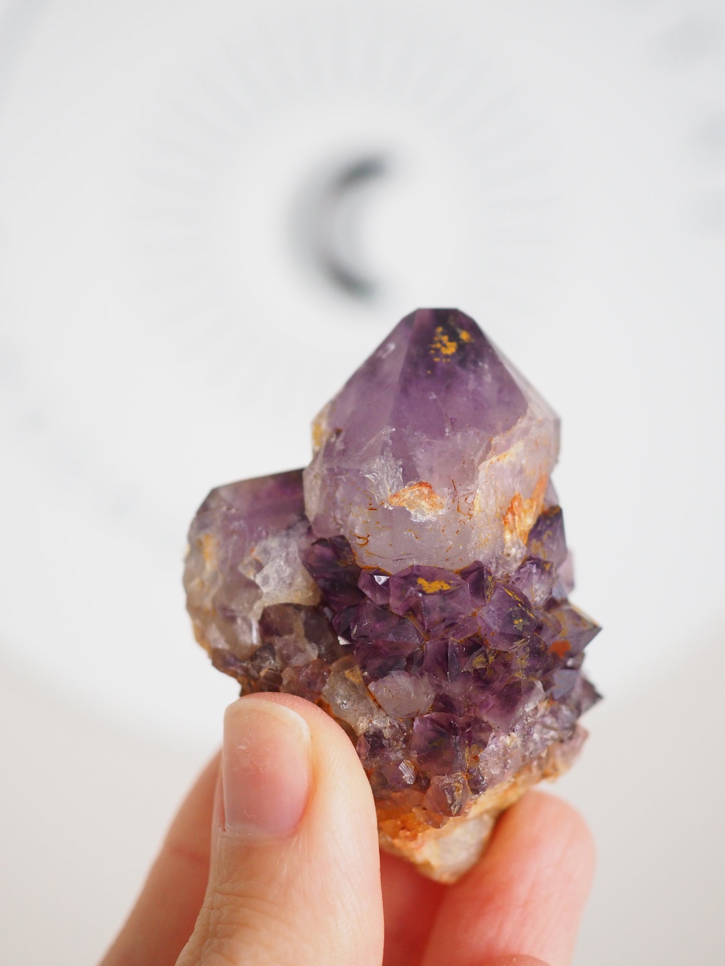 Kaktus Quarz Deep Violett . Spirit Quarz - aus Boekenhouthoek. Mpumalanga. Südafrika HIGH QUALITY