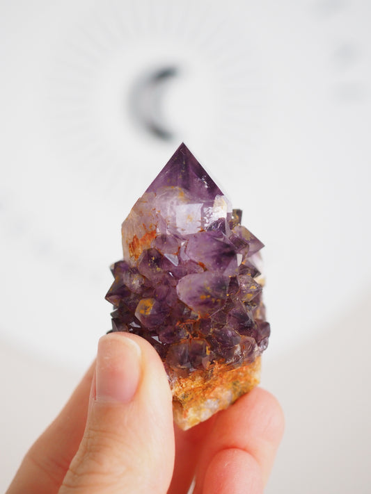 Kaktus Quarz Deep Violett . Spirit Quarz - aus Boekenhouthoek. Mpumalanga. Südafrika HIGH QUALITY