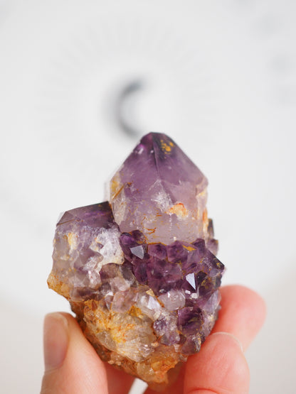Kaktus Quarz Deep Violett . Spirit Quarz - aus Boekenhouthoek. Mpumalanga. Südafrika HIGH QUALITY