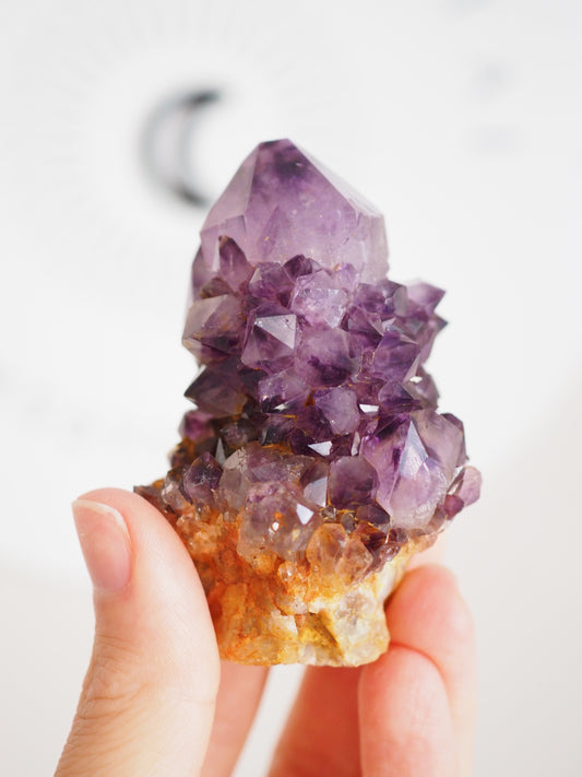 Kaktus Quarz Deep Violett . Spirit Quarz - aus Boekenhouthoek. Mpumalanga. Südafrika HIGH QUALITY