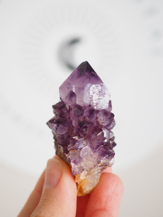 Kaktus Quarz Deep Violett . Spirit Quarz - aus Boekenhouthoek. Mpumalanga. Südafrika HIGH QUALITY