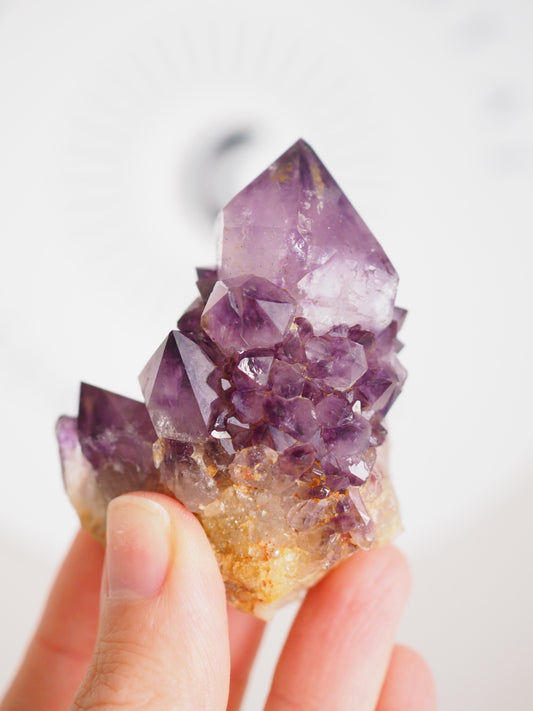 Kaktus Quarz Deep Violett . Spirit Quarz - aus Boekenhouthoek. Mpumalanga. Südafrika HIGH QUALITY