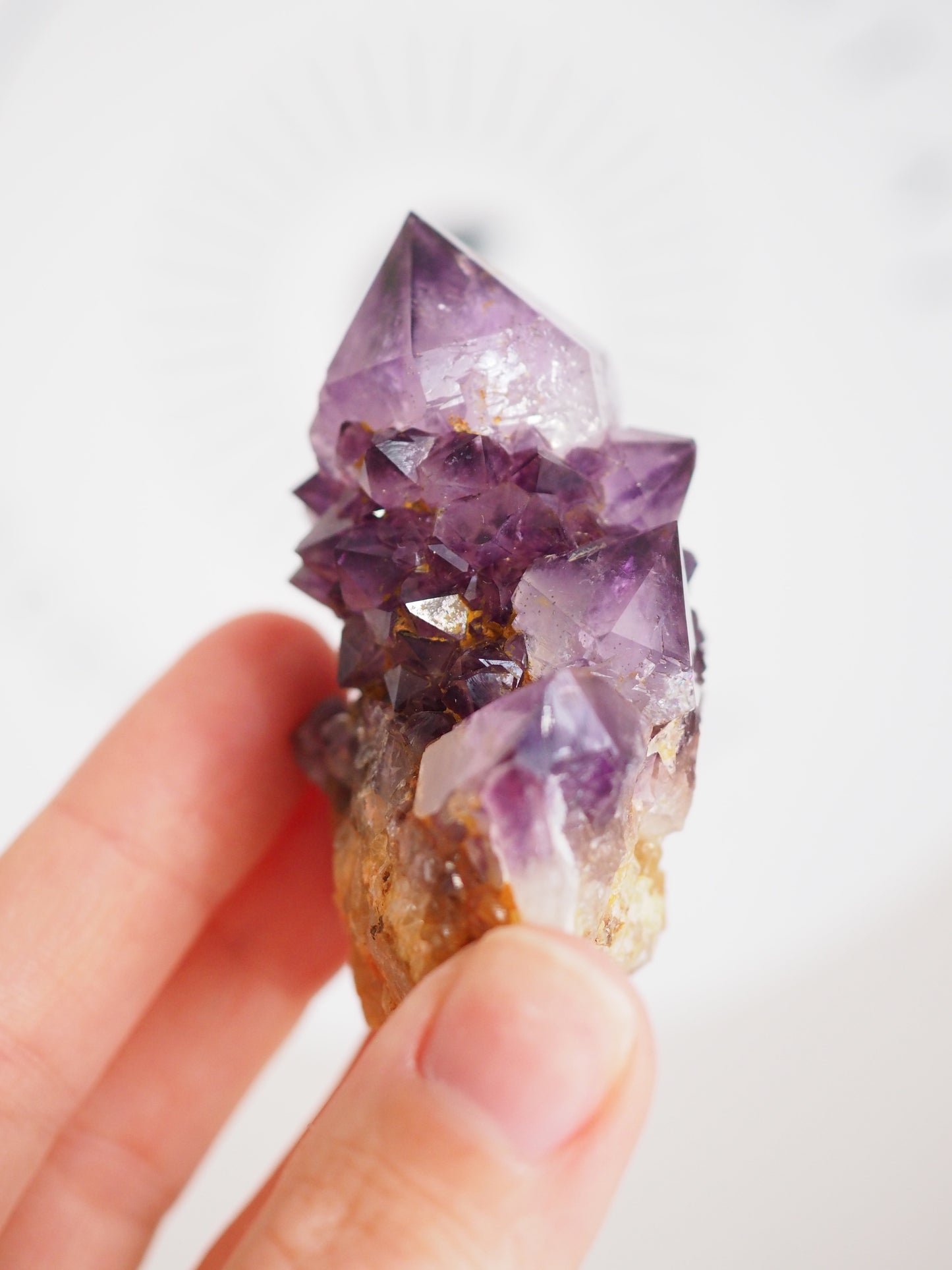 Kaktus Quarz Deep Violett . Spirit Quarz - aus Boekenhouthoek. Mpumalanga. Südafrika HIGH QUALITY
