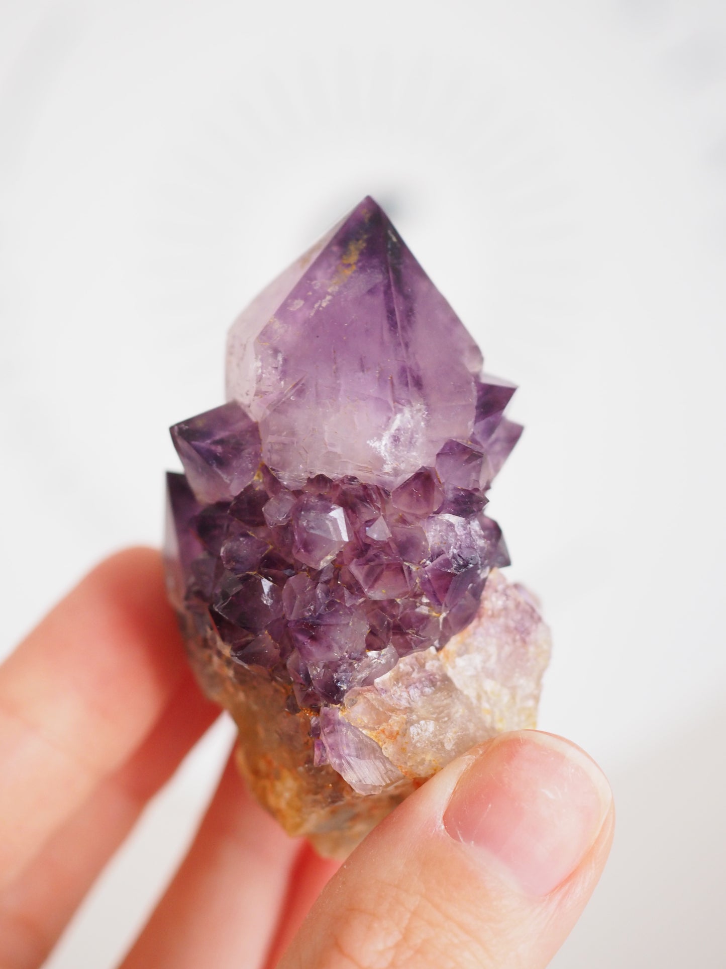 Kaktus Quarz Deep Violett . Spirit Quarz - aus Boekenhouthoek. Mpumalanga. Südafrika HIGH QUALITY