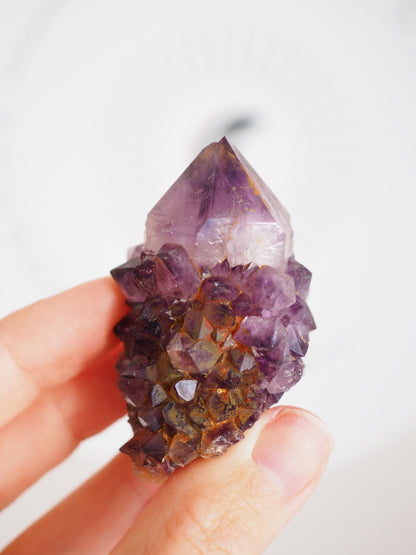Kaktus Quarz Deep Violett . Spirit Quarz - aus Boekenhouthoek. Mpumalanga. Südafrika HIGH QUALITY
