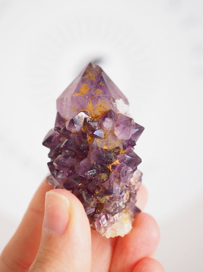 Kaktus Quarz Deep Violett . Spirit Quarz - aus Boekenhouthoek. Mpumalanga. Südafrika HIGH QUALITY
