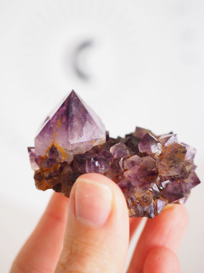 Kaktus Quarz Deep Violett . Spirit Quarz - aus Boekenhouthoek. Mpumalanga. Südafrika HIGH QUALITY