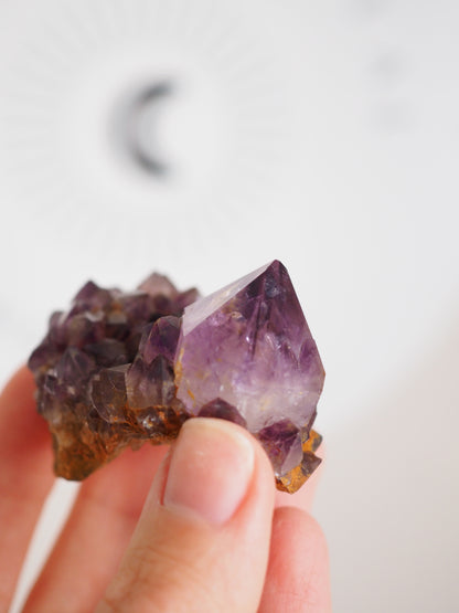 Kaktus Quarz Deep Violett . Spirit Quarz - aus Boekenhouthoek. Mpumalanga. Südafrika HIGH QUALITY