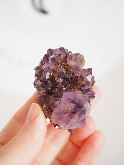 Kaktus Quarz Deep Violett . Spirit Quarz - aus Boekenhouthoek. Mpumalanga. Südafrika HIGH QUALITY