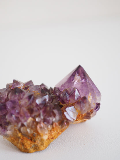 Kaktus Quarz Deep Violett . Spirit Quarz - aus Boekenhouthoek. Mpumalanga. Südafrika HIGH QUALITY