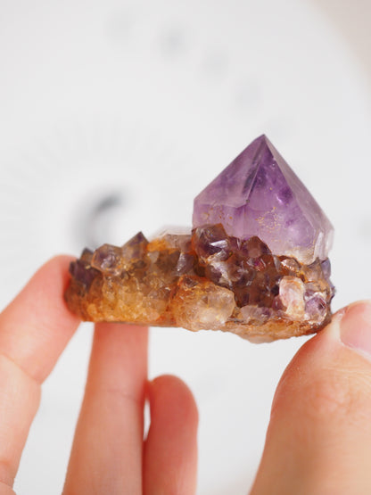 Kaktus Quarz Deep Violett . Spirit Quarz - aus Boekenhouthoek. Mpumalanga. Südafrika HIGH QUALITY