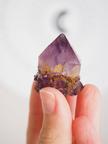 Kaktus Quarz Deep Violett . Spirit Quarz - aus Boekenhouthoek. Mpumalanga. Südafrika HIGH QUALITY