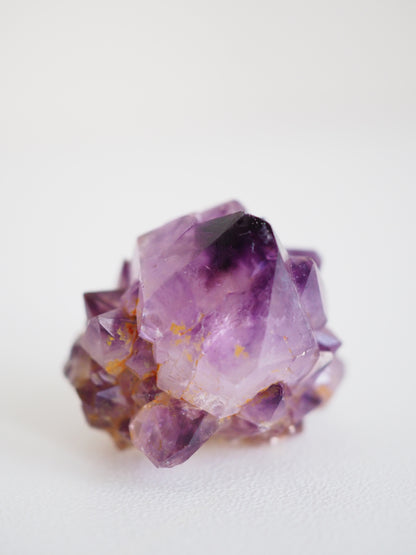 Kaktus Quarz Deep Violett . Spirit Quarz - aus Boekenhouthoek. Mpumalanga. Südafrika HIGH QUALITY
