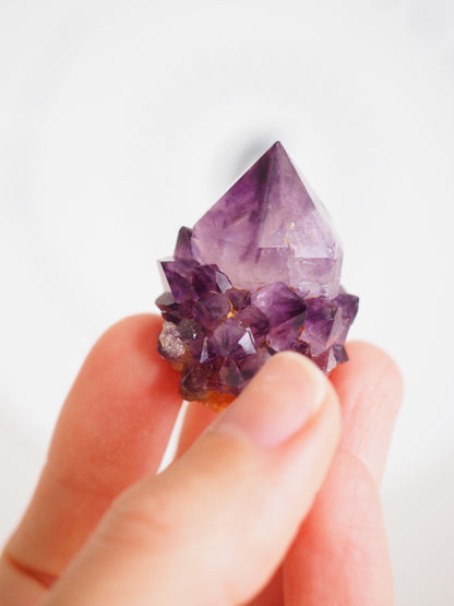 Kaktus Quarz Deep Violett . Spirit Quarz - aus Boekenhouthoek. Mpumalanga. Südafrika HIGH QUALITY