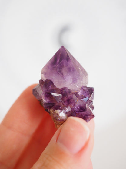 Kaktus Quarz Deep Violett . Spirit Quarz - aus Boekenhouthoek. Mpumalanga. Südafrika HIGH QUALITY