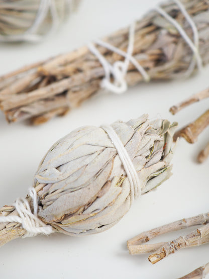 Weisser Salbei . White Sage . Biologischer Abbau aus Californien