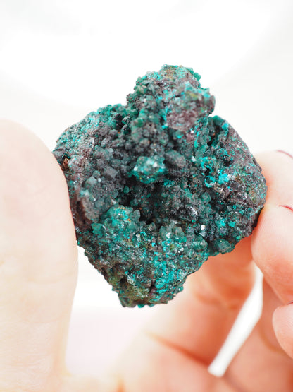 Dioptase - aus N'tola  Kongo [25]