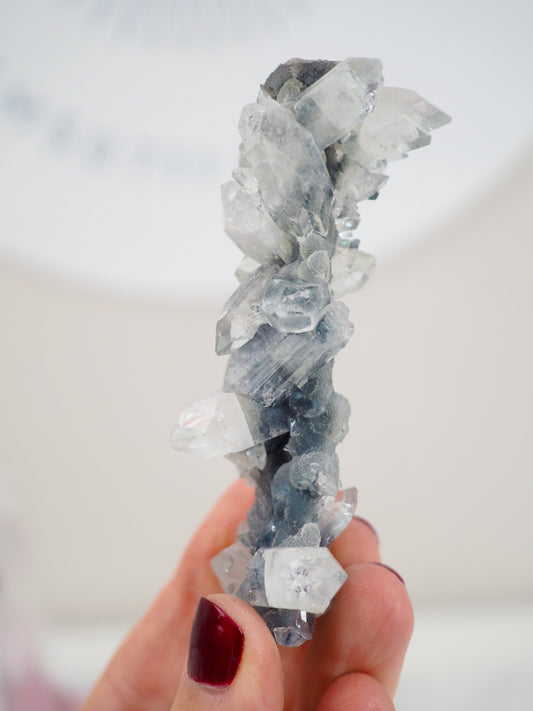 Schwarzer Chalcedon mit Apophylite Stab - aus Indien RARE