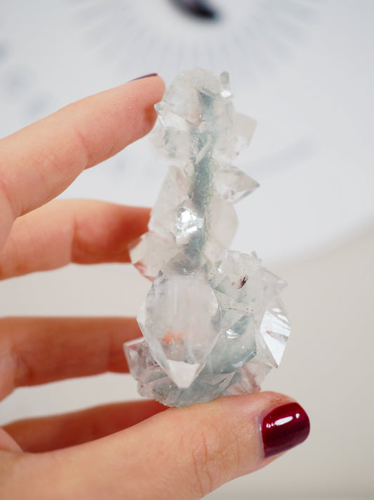 Grüner Chalcedon mit Apophylite Stab - aus Indien RARE