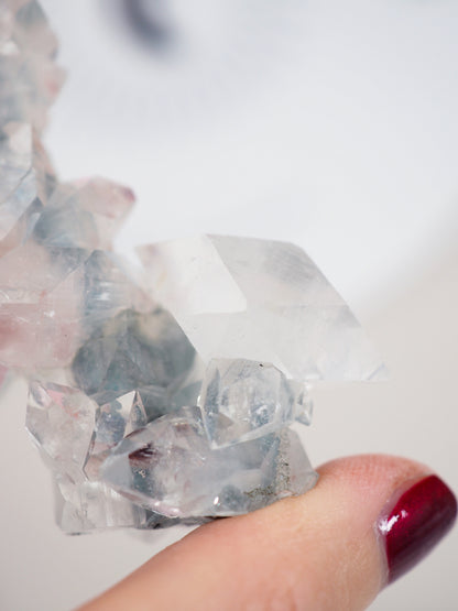 Grüner Chalcedon mit Apophylite Stab - aus Indien RARE