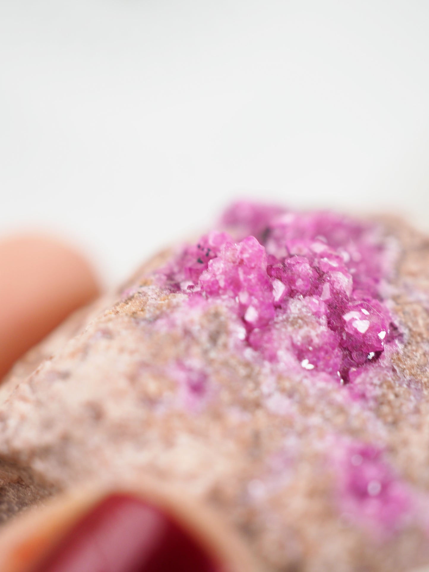 Sparkly Pink Cobalto Calcite Specimen ca. xx cm [xx]- aus Kongo